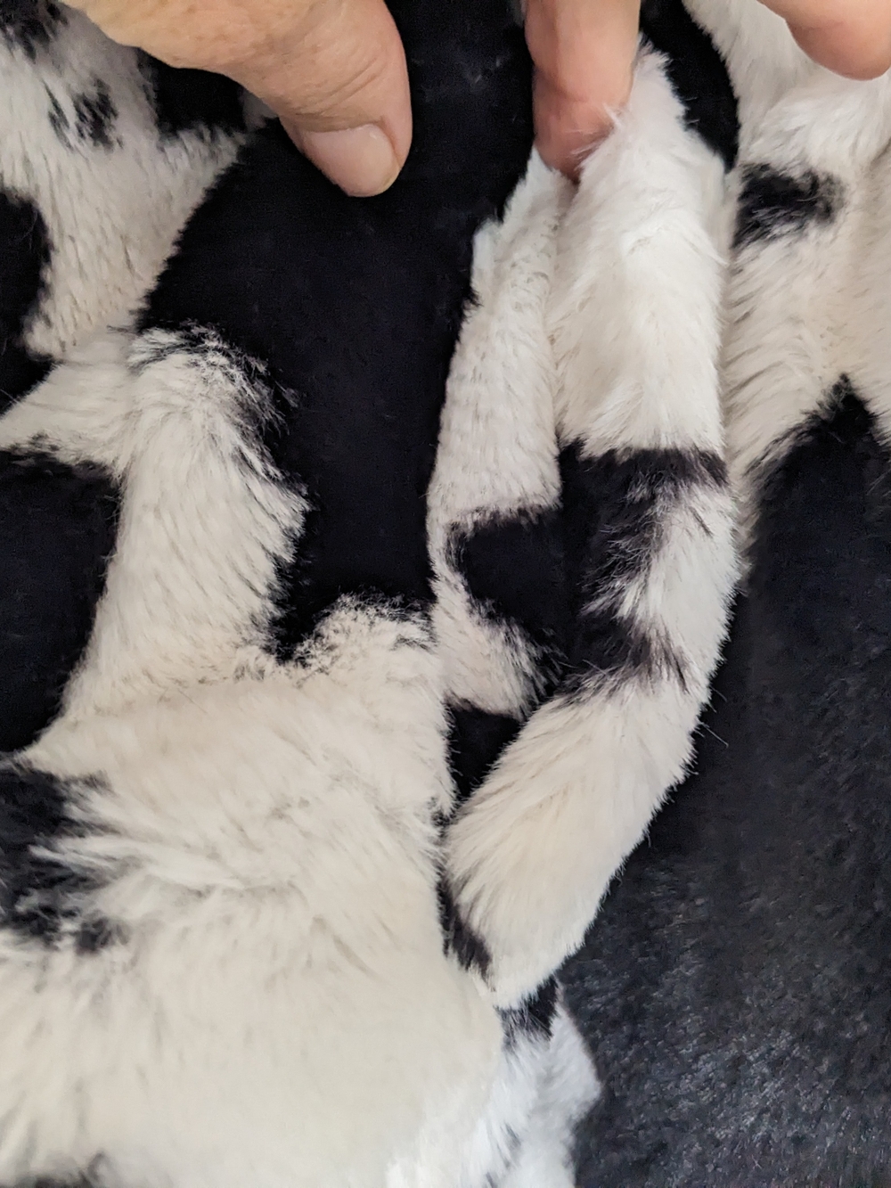 Collection B Black & White Faux Fur Cow-Print Jacket - Picture 4 of 5